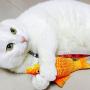 settencas Electric Fish Cat Toys Realistic Plush Electric Swing Fish Cat Mint Toys Pet Amusement Toys