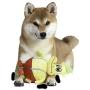 Nickelodeon for Pets Rockos Modern Life Heffer Ball Body Dog Toy | Yellow and Red Squeaky Dog Toy for All Dogs | Nickelodeon Toys for Dogs, Squeak Dog Toy, one Size (FF15605)
