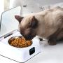 Stainless Steel Portable Pet Dog, Cat Outdoor Travel Water Bowl, Bottle Feeder for Drinking, Eco-Friendly Pet Feeder Bowl, Pet Safe Bowl for Dogs and Cats Microchip Pet Feeders Smart Healthy Feeding