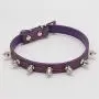 Chenyouwen Pet Toys Great Cat Dog Rivet Collar Pet Accessory Collar, Size: L(Purple) (Color : Purple) Chenyouwen Pet Toys Great Cat Dog Rivet Collar Pet Accessory Collar, Size: L(Purple) (Color : Purple)