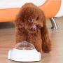 Xihouxian Device Puzzle Leaking Device Killing Time Pet Toy White Dog Dog Feeding Toy Leaking Food C40
