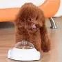 Xihouxian Device Puzzle Leaking Device Killing Time Pet Toy White Dog Dog Feeding Toy Leaking Food C40 Xihouxian Device Puzzle Leaking Device Killing Time Pet Toy White Dog Dog Feeding Toy Leaking Food C40