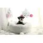 BODISEINT Modern Soft Plush Round Pet Bed for Cats or Small Dogs, Mini Medium Sized Dog Cat Bed Self Warming Autumn Winter Indoor Snooze Sleeping Cozy Kitty Teddy Kennel BODISEINT Modern Soft Plush Round Pet Bed for Cats or Small Dogs, Mini Medium Sized Dog Cat Bed Self Warming Autumn Winter Indoor Snooze Sleeping Cozy Kitty Teddy Kennel