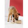 Mason Cash Cane Ceramic Dog Bowl, 6-inch