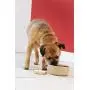 Mason Cash Cane Ceramic Dog Bowl, 6-inch Mason Cash Cane Ceramic Dog Bowl, 6-inch