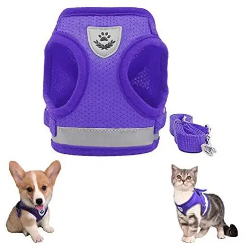 FEimaX Dog Harness and Leash Set, No Pull Reflective Adjustable Pet Vest Harnesses for Puppy Kitten, Soft Mesh Chest Harness for Small Medium Dogs and Cats - Easy Control for Outdoor Walking FEimaX Dog Harness and Leash Set, No Pull Reflective Adjustable Pet Vest Harnesses for Puppy Kitten, Soft Mesh Chest Harness for Small Medium Dogs and Cats - Easy Control for Outdoor Walking