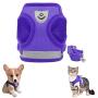 FEimaX Dog Harness and Leash Set, No Pull Reflective Adjustable Pet Vest Harnesses for Puppy Kitten, Soft Mesh Chest Harness for Small Medium Dogs and Cats - Easy Control for Outdoor Walking