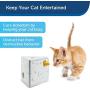 PetSafe Electronic Cat Toys, Automatic Cheese and Peek-A-Bird, Hide and Seek Teaser Toy, Interactive Ambush Bird and Mouse Hunt, Motion Activated Fun for Kittens