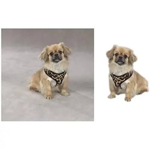 Zack & Zoey Zebra or Leopard Print Soft Plush Dog Harness Durable Reliable Walk Safety Zack & Zoey Zebra or Leopard Print Soft Plush Dog Harness Durable Reliable Walk Safety