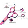 Professional Dog Grooming Scissors Set,Straight, Thinning ,Curved Scissors ,4pcs Set for Dog Grooming (rainbow)