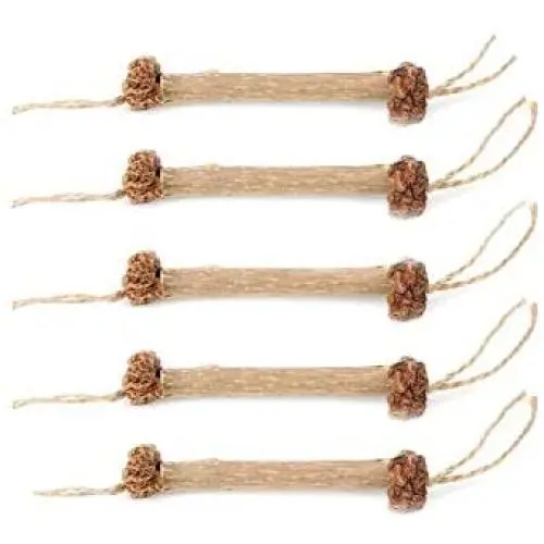 15/20Pcs Cat Cleaning Teeth Natural Catnip Pet Cat Molar Toothpaste Stick Matatabi Actinidia Fruit Silvervine Cat Snacks Sticks 15/20Pcs Cat Cleaning Teeth Natural Catnip Pet Cat Molar Toothpaste Stick Matatabi Actinidia Fruit Silvervine Cat Snacks Sticks