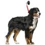 LAST LEASH Dog Bathing & Grooming Suction Cup - Keeps Dog in Bathtub or Shower - Any Size Dog