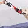purrrfect life Dog Chew Toys Chew Toys with Rope for Dogs Fire Hose No Stuffing Dog Durable Squeaky Wubba Interactive Tug Toys purrrfect life Dog Chew Toys Chew Toys with Rope for Dogs Fire Hose No Stuffing Dog Durable Squeaky Wubba Interactive Tug Toys