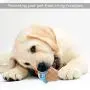 Fansport 13 Pack Dog Squeaky Toys Cute Plush Toys Stuffed Fruits Vegetables Dog chew Toy Squeaky Dog Toys for Puppy Small Dog Pets Fansport 13 Pack Dog Squeaky Toys Cute Plush Toys Stuffed Fruits Vegetables Dog chew Toy Squeaky Dog Toys for Puppy Small Dog Pets