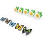 S-D-A Electric Rotating 360 Pet Cat Toys for Cats Toy Colorful Butterfly Bird Seat Scratch Funny Pet Toys for Cat Kitten Intelligence