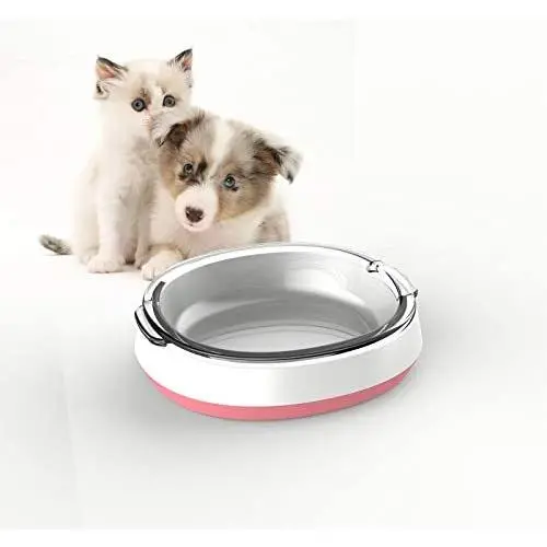 YOYOPET Glass Cat Food Bowl Stress Free Dog Bowl Non Slip Raised Bowls Tilted Elevated Cat Bowl, Wide Cat Dish, Protect Cats Spine, Relieves Whisker Fatigue, Dishwasher Safe YOYOPET Glass Cat Food Bowl Stress Free Dog Bowl Non Slip Raised Bowls Tilted Elevated Cat Bowl, Wide Cat Dish, Protect Cats Spine, Relieves Whisker Fatigue, Dishwasher Safe