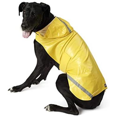 PetRageous London Slicker