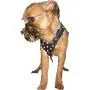 Black Genuine Leather Rhinestones Dog Harness for Small Dogs 13''-17.5'' Chest Black Genuine Leather Rhinestones Dog Harness for Small Dogs 13''-17.5'' Chest