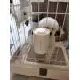 Misyue Dog Water Dispenser for Cage 17oz / 500ml BPA Free Pet Auto Feeding Water Bottle Leakproof Dog Water Bottle for Dogs & Cats Nozzle Diameter9(Color:White)