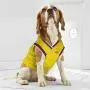 NBA PET Apparel. - Licensed Jerseys for Dogs & Cats Available in 25 Basketball Teams & 5 Sizes Cute pet Clothing for All Sports Fans. Best NBA Dog Gear NBA PET Apparel. - Licensed Jerseys for Dogs & Cats Available in 25 Basketball Teams & 5 Sizes Cute pet Clothing for All Sports Fans. Best NBA Dog Gear