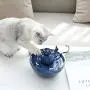 Cat and Dog Water Fountain, Quiet&Water Circulation Cat Water Dispenser, Automatic Ceramic Drinking Fountain for Pets Cat and Dog Water Fountain, Quiet&Water Circulation Cat Water Dispenser, Automatic Ceramic Drinking Fountain for Pets