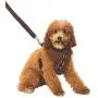 Rubies Star Wars Classic Chewbacca Pet Leash and Harness Rubies Star Wars Classic Chewbacca Pet Leash and Harness