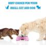 KLASKWARE Stainless Steel Pet Bowl,Double Small Dog Bowl with Non-Skid Rubber Feet, Food Water Dish Feeder for Dogs Cats and Pets