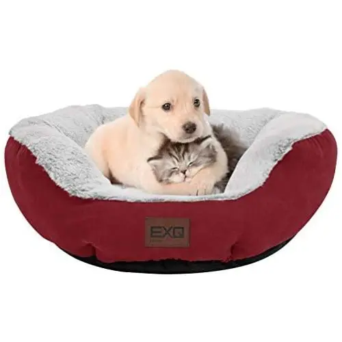 EXQ Home Soft Warmful Cat Beds for Indoor Cats,Fluffy Calming Cat Bed with Slip-Resistant Bottom,Plush Round Dog Beds for Small Dogs,20 inch Kitten Bed Machine Washable Dog Bed EXQ Home Soft Warmful Cat Beds for Indoor Cats,Fluffy Calming Cat Bed with Slip-Resistant Bottom,Plush Round Dog Beds for Small Dogs,20 inch Kitten Bed Machine Washable Dog Bed