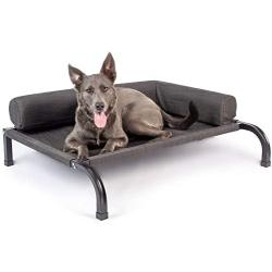 PetFusion Ultimate Elevated Outdoor Dog Bed. Large Portable 7” Raised Pet Bed. 39”x31”x7” (lwh). 370gsm Water Resistant Polyester. Steel Frame Construction. Protective Cover Incl. 12 Month Warranty
