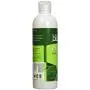 Biokleen Bac-Out Stain+Odor Remover, 16 Oz, 16 Fl. Oz Biokleen Bac-Out Stain+Odor Remover, 16 Oz, 16 Fl. Oz