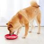 Sports Disc, Dog Frisbee Indestructible for Outdoors Beach Backyard Sports Play Discs, Fun Rubbery Summer Toy