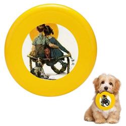 Pet Frisbee Flying Disc Dog Toy - Multifunction Sunset