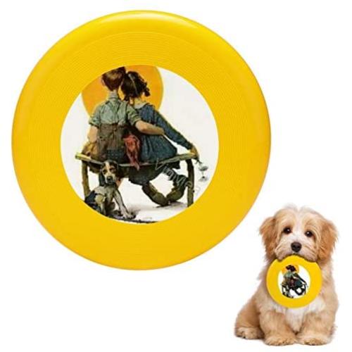 Pet Frisbee Flying Disc Dog Toy - Multifunction Sunset