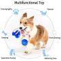 Pet Molar Bite Toy with Suction Cup Self-Playing Rubber Chew Ball Toy Interactive Dog Ropes Toy Cleaning Teeth Safe Soft for Puppy Small Medium Dogs
