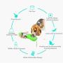 Guardians Dog Travel Water Bottle,Portable Walking Traveling Water Bottle Dispenser with Waste Bag for Pet, Puppy, Small Animal