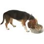 Franklin Pet Supply Slow Feed Tornado Bowl - Pet Bowl - Dog Bowl- Food - Water Bowl - Small - Medium - Large Dog Food Bowl - Puppy - Slow Feed Dog Bowl