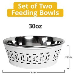 American Pet Supplies Set of 2 Deep Feeder Modern Farmhouse Bowls for Puppies and Dogs