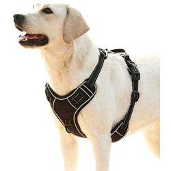 EAVSOW Dog Harness No-Pull Pet Harness Adjustable Outdoor Pet Vest for Small Medium Large Dogs Reflective Oxford Material Vest for Dogs No-Choke Easy Control