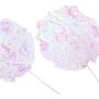 ocijf179 Pet Toy Oversized Candy Color Sound Paper Ball Ring Toys Cat Interactive Pet Supplies - Candy Colored