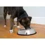 Iconic Pet 12 Cup Heavy Weight Non-Skid Easy Feed High Back Pet Bowl For Dog Or Cat (2 Pack) Iconic Pet 12 Cup Heavy Weight Non-Skid Easy Feed High Back Pet Bowl For Dog Or Cat (2 Pack)