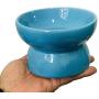 ZYYRT Ceramic Elevated Cat Bowl 6.7In Raised Cat Food Water Dish Slanted Kitten Bowls for Tilt Angle Protect Cats Spine, Backflow Prevention