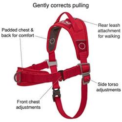 Kurgo Walk About Dog Harness, No Pull Training Harness for Dogs, Discourages Pulling, Front D-Ring, Includes Control Handle, Chili Red