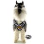 Dog Puppy Harness Vest Classic Dot No Pull Vest Harness Soft Mesh Adjustable Fabric Pet Nylon Vest Dog Harness Leash Set Leads