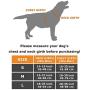 BUDDIHUG Dog Harness No Pull Pet Harness 3M Reflective Adjustable Outdoor Pet Vest for Small Medium Large Dogs