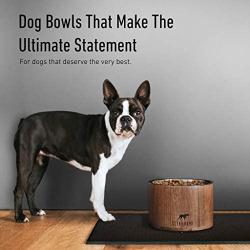 Stig & Bone Dog Bowls for Large Dogs – Elevated with Stand - Modern American Walnut Wood, Durable Stainless Steel – Raised Dog Feeder for Food and Water (Single Bowl)