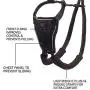 Halti No Pull Harness and Training Lead Combination Pack Halti No Pull Harness and Training Lead Combination Pack