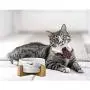 PICKME Ceramic Pet Bowls with Stand, Dog Cat Water Bowl and Food Dish -Heavy Weighted & No Tip Over Pet Comfort Feeding Bowls, Easy to Clean PICKME Ceramic Pet Bowls with Stand, Dog Cat Water Bowl and Food Dish -Heavy Weighted & No Tip Over Pet Comfort Feeding Bowls, Easy to Clean
