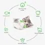 Catnip Toys for Cats,Interactive Cat Toothbrush Chew Treat Toy for Kitty ,Teeth Cleaning Dental Care,Fish Shape Pet Toy Catnip Toys for Cats,Interactive Cat Toothbrush Chew Treat Toy for Kitty ,Teeth Cleaning Dental Care,Fish Shape Pet Toy