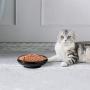 omSaf Cat Food Water Bowl, Wide Shallow Ceramic Cat Dish, Non Spill Pet Bowl, 10oz