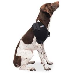 Caldera International Caldera Pet Therapy Shoulder Wrap with Gel, Medium, Black (PET201)